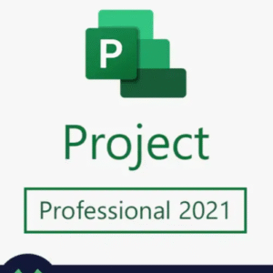 Project 2021 Professional Key