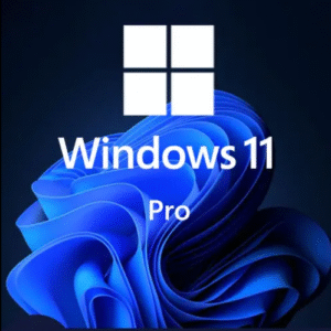 Windows 11 Pro Oem Key